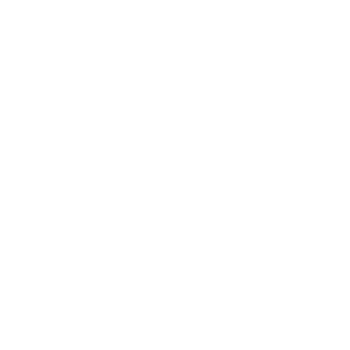 Party City Logo