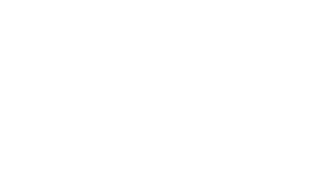 AutoNation Logo