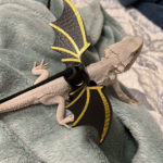 Pet Matias dressed as a bearded dragon