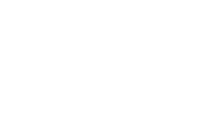 Party City Logo