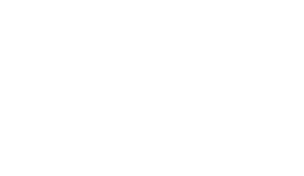 Tire Kingdom Logo